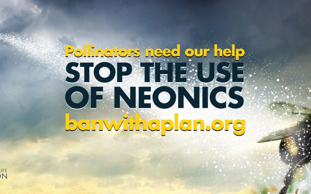 Canadian Wildlife Federation – Ban With A Plan Campaign