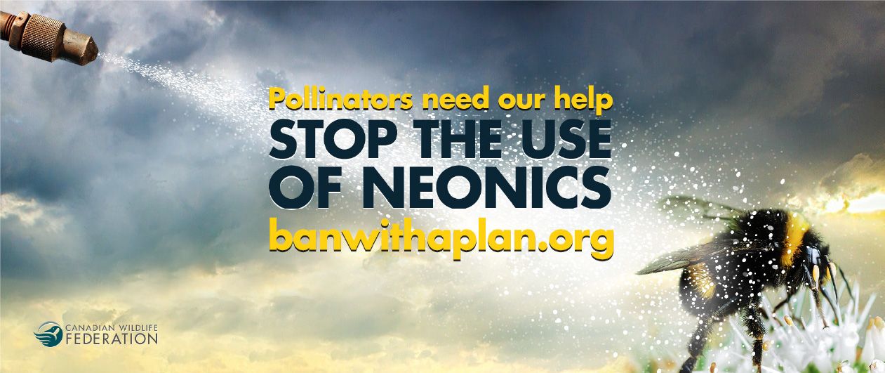 JoyGrafika Portfolio - Canadian Wildlife Federation JoyGrafika Portfolio - Canadian Wildlife Federation