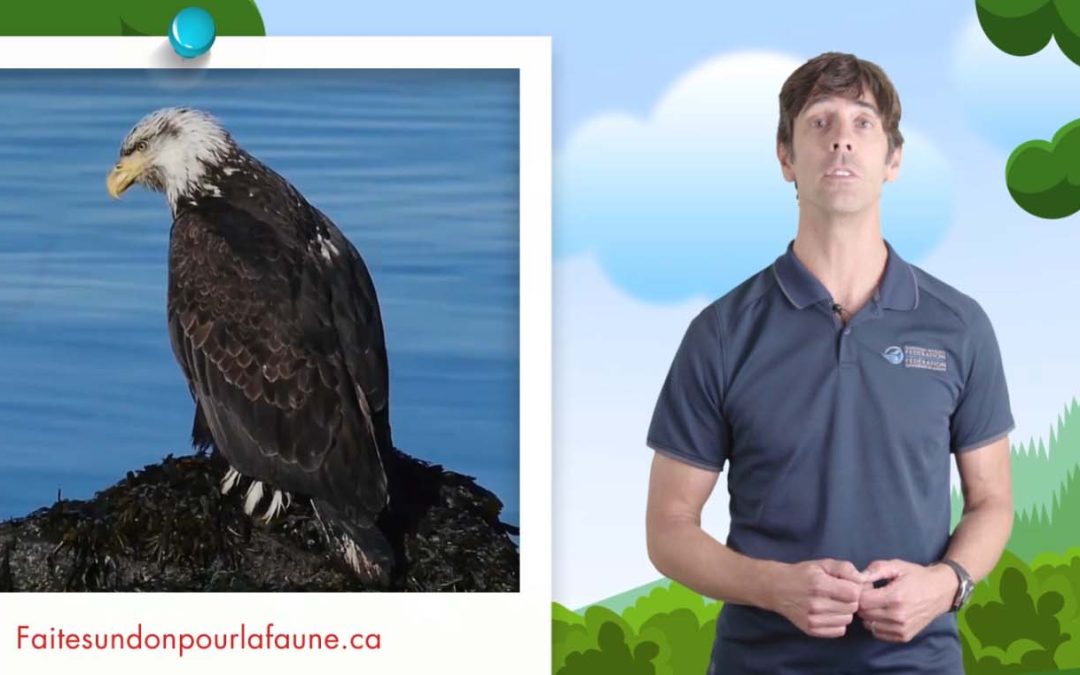Canadian Wildlife Federation Christmas Wishes